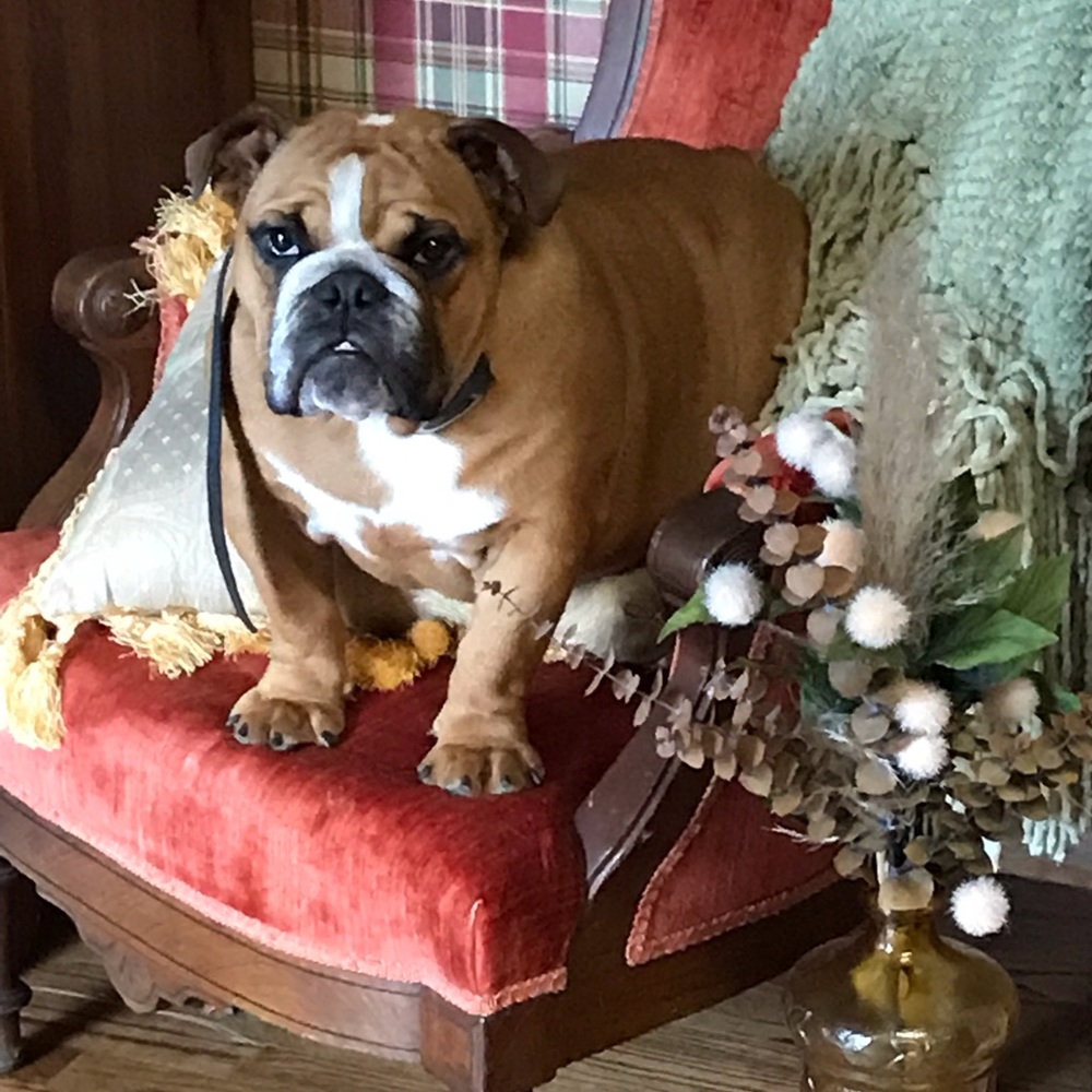 Meet your Posher, Shantell